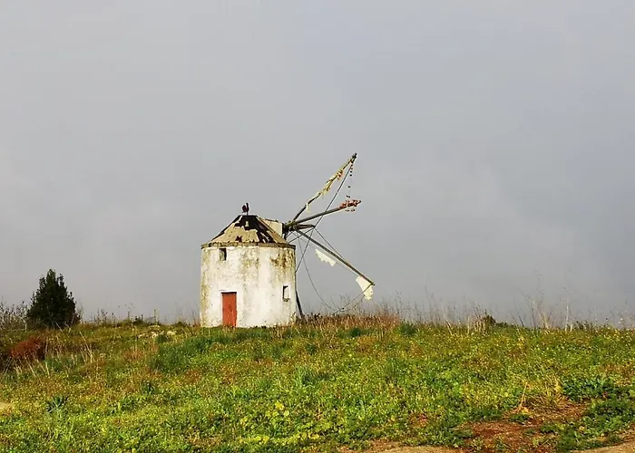 Feather House
